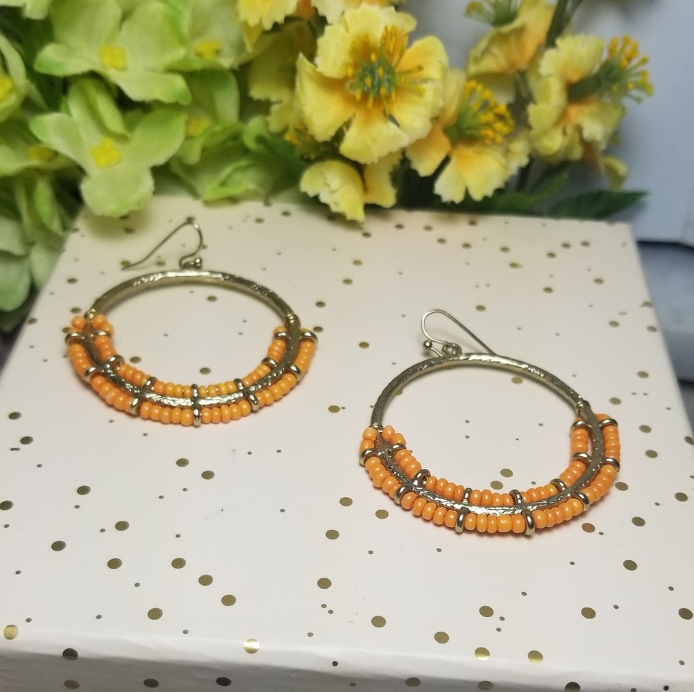 Seedbead Dangle Drop Earrings